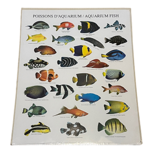 French Poster Aquarium Fish, Written in French and English for Each Species