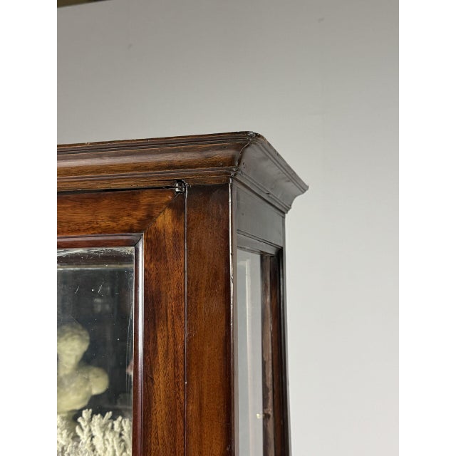 Brown Mahogany Display Cabinets, 19th Century, Set of 2 For Sale - Image 8 of 18