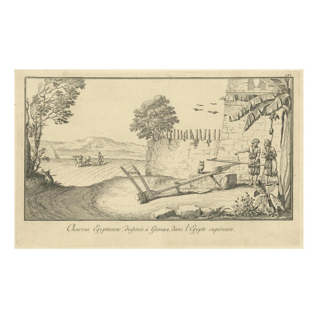 Egyptian Ploughing Scene at Gamase, 1755, Print For Sale