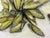 Ears of Corn Acrylic on Canvas Painting, Unsigned For Sale In San Francisco - Image 6 of 12