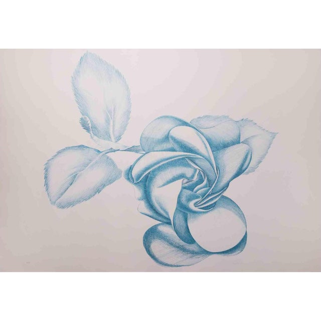 Blue Rose is a contemporary artwork realized by Giacomo Porzano in 1970s. Colored etching Hand-signed on the lower right....