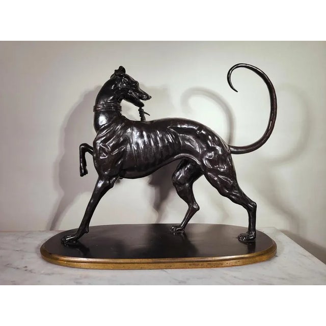Large Art Deco Greyhound Dog in Bronze, 1900s For Sale - Image 10 of 13