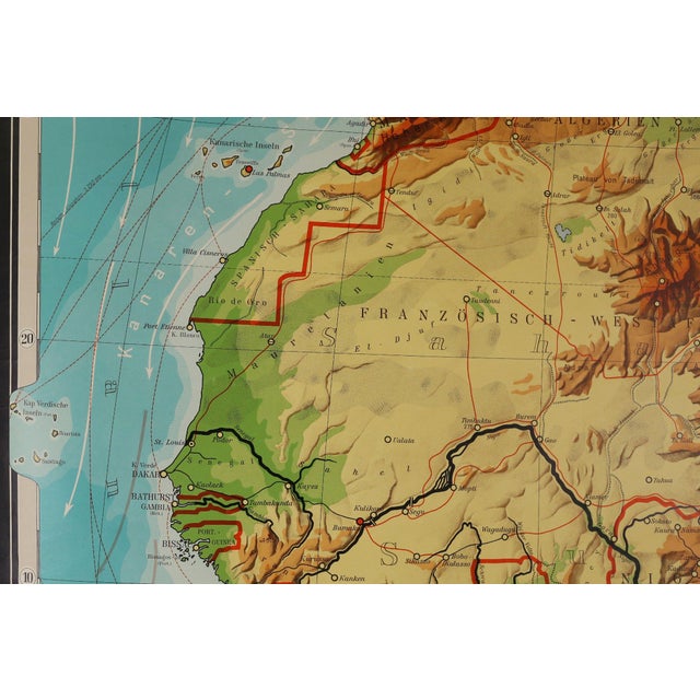 1950s Large Educational Wall Chart, 1950s For Sale - Image 5 of 12