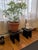 A reclaimed barnwood accent stool[two available now], hand finished using the ancient Japanese Yakisugi technique —...