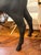 Sofia Lagerkvist and Anna Lindgren for Moooi Horse Lamp For Sale - Image 12 of 13