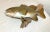 Vintage Handmade Eg Carved Wood Smallmouth Bass Wall Fish Mount Trophy Sculpture For Sale In New York - Image 6 of 18