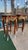 French 1960s Pair of French Louis XV End Tables | Mahogany & Gilt Bronze Side Tables For Sale - Image 3 of 5