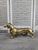 Bronze Dachshund Dog Sculpture with Polished Gold Finish For Sale - Image 4 of 14
