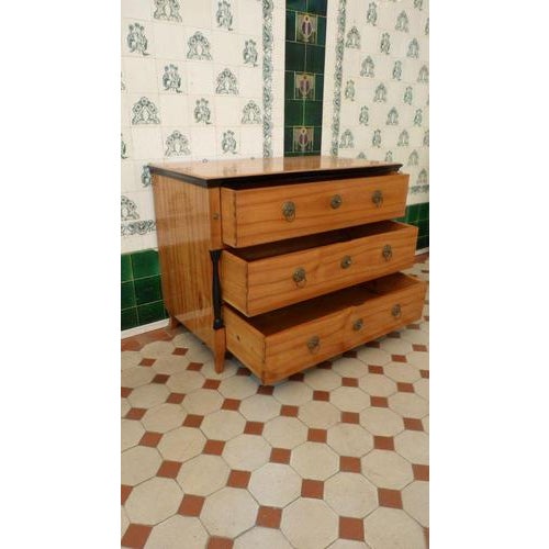 Biedermeier Cherrywood Chest of Drawers with Columns, 1840s For Sale - Image 11 of 12