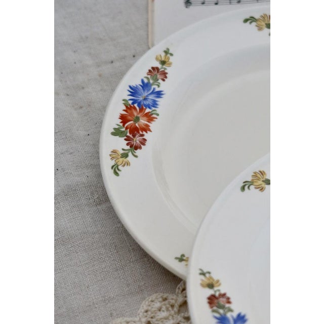 Green Earthenware Dessert Plates with Polychrome Floral Patterns from Royal Sphinx, Maastricht, Belgium, Set of 6 For Sale - Image 8 of 12