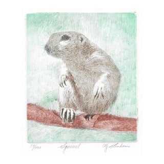 Etching of a Squirrel by Graham For Sale