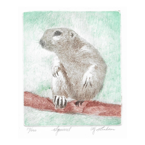 Etching of a Squirrel by Graham