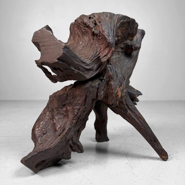 Antique Japanese Root Wood Ikebana Display, 1900s For Sale - Image 4 of 12