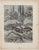Friedrich Specht 1, Kangaroos in Danger, Lithograph, 1879 For Sale