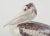 Mid 20th Century Ceramic Pelican Figurine by Jeanne Grut for Royal Copenhagen For Sale - Image 3 of 8