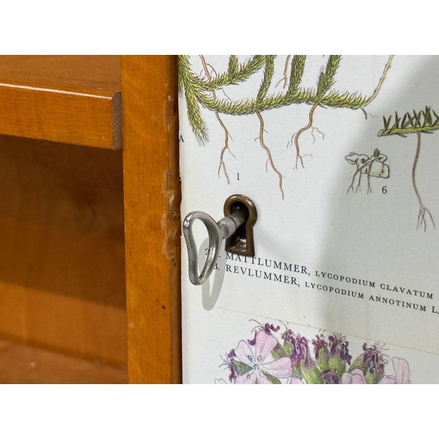 Swedish Modern, Nordens Flora Bookcase, Birch, Floral Lithographs, Sweden, 1940s For Sale - Image 13 of 15