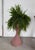 Terra Cotta Mid-Century Modern Terra Cotta Painted Hourglass Planter For Sale - Image 8 of 9