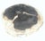 Petrified Wood Round Black & Beige Bowl Dish Large Plate For Sale - Image 6 of 8