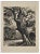 Georges-Henri Tribout, The Tree, Original Etching, Mid-20th-Century For Sale