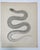 Rustic Mid 19th Century Us Pacifc Railroad Lithograph Snake Book Plate For Sale - Image 3 of 3