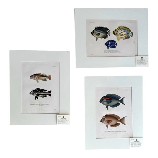 Set 3 Hand-Colored Engraving - Captain Duperry "Voyage De La Coquille" 1826 For Sale