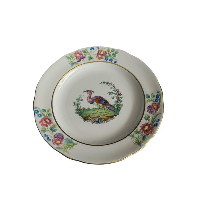Antique Copeland Spode Plate With Exotic Bird - Set of Five For Sale In Tampa - Image 6 of 9