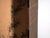 Antique Japanese Six-Panel Screen with Box, 1900 For Sale - Image 13 of 18