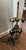 Vintage Rose Petal Tiffany Style Table Lamp With Brass Base For Sale - Image 13 of 16