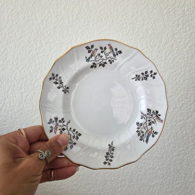 1960s Vintage Spode Copeland English Bird Plates With Gold Trim, Set of 4 For Sale - Image 5 of 7
