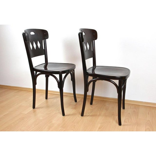 Art Nouveau Bentwood Chairs attributed to Kohn, Vienna, 1910s, Set of 2 For Sale - Image 9 of 14