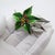 A refined poinsettia flower decoration crafted in Italy between the 1980s and 1990s, a period when Italian silver...