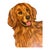 Original artwork by Chicago artist, Nancy Weinberg (1922-2020), circa 1990. Large golden retriever dog painted on cut out...
