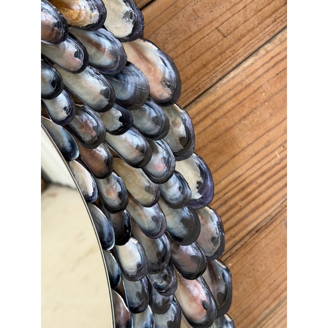 Eggplant Handmade Coastal Mussel & Cowrie Shell Layered Round Mirror For Sale - Image 8 of 12