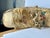 Native American Antique Native American Cree Indian Embroidered Rifle Scabbard For Sale - Image 3 of 10