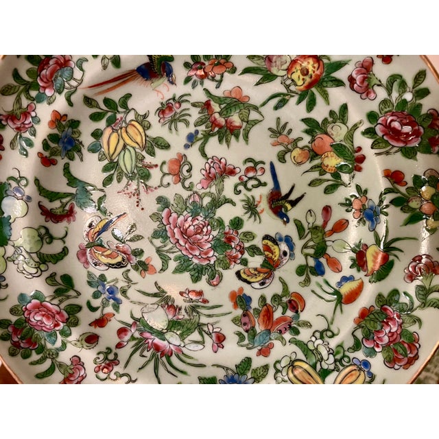 Chinoiserie Antique 19th Century Chinese Export Porcelain Famille Rose Plate With Birds and Butterflies on a Celadon Ground For Sale - Image 3 of 9