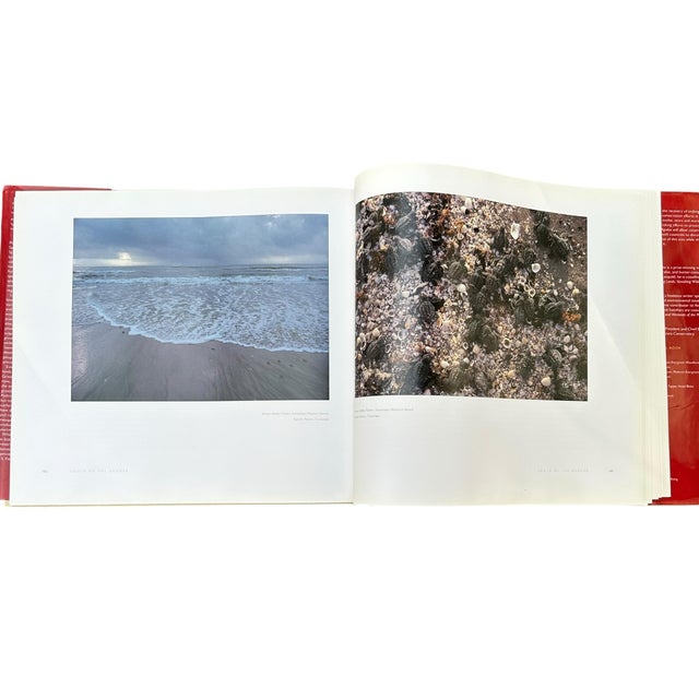 Vintage Large Centennial Hardcover Coffee Table Photography Book Two Eagles; Dos Aguilas: The Natural World of the United States-Mexico Borderlands For Sale - Image 11 of 12