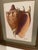 1970s Vintage Seashell Print, Framed For Sale - Image 5 of 6