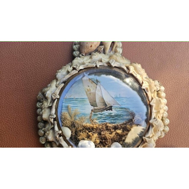 Victorian Anchor Seashell Maritime Diorama in Beech and Glass For Sale - Image 3 of 10