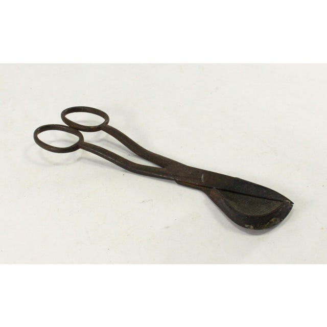 Early 19th Century Rare 18th / 19th C. Wrought Iron Candle Wick Trimmer, Not Snuffer For Sale - Image 5 of 12