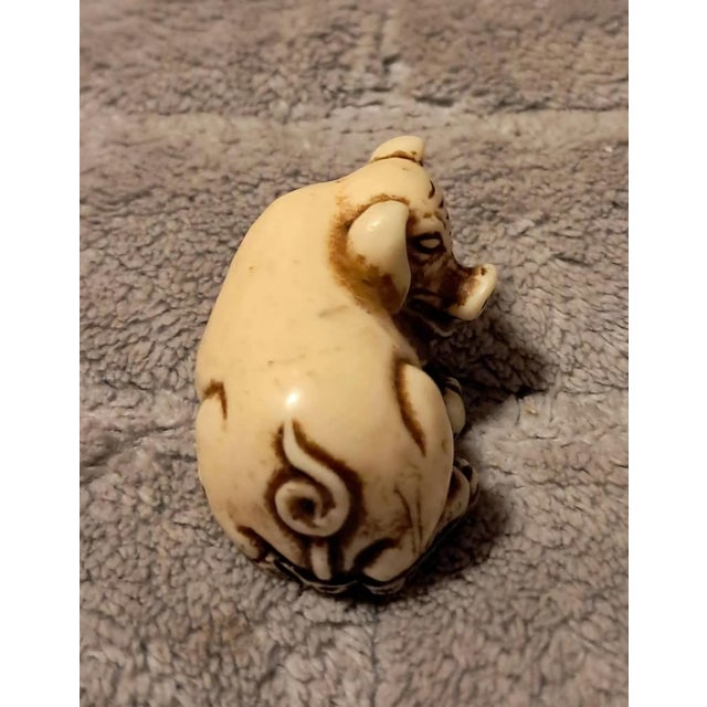 Antique Chinese Ivory Netsuke Pig - Ming/Quing Dynasty For Sale - Image 6 of 6