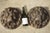 Pair of Heavy French Cast Iron Lion Building Ornaments, Circa 1900 For Sale - Image 14 of 18