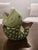 Vintage MCM Andrea by Sadek Koi Fish Vase For Sale In Dallas - Image 6 of 6