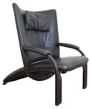 Vintage Leather Spot 698 Armchair from WK Wohnen