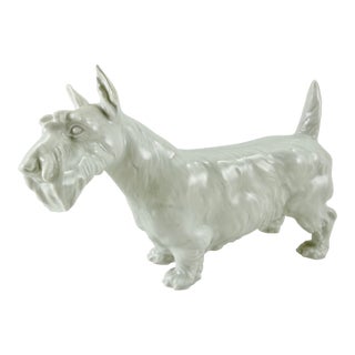 Meissen Blanc De Chine Porcelain Scottish Terrier For Sale