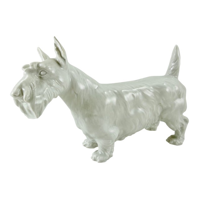 Meissen Blanc De Chine Porcelain Scottish Terrier For Sale