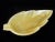 20th Century Carved Solid Onyx Stone Leaf Shape Footed Dish For Sale - Image 6 of 11
