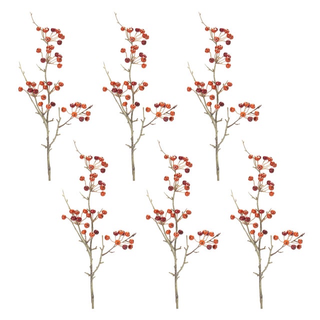 Rustic Berry Pod Spray (Set of 6) For Sale - Image 3 of 3