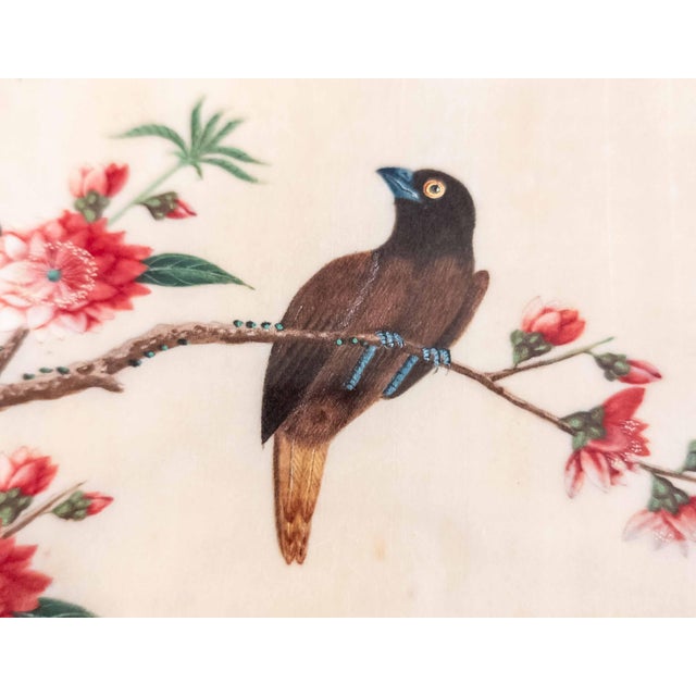 19th or 20th Century Chinese Watercolor Pith Paper Painting of Birds Arguing For Sale - Image 13 of 16