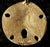 14k Gold Sand Dollar Pendant For Sale - Image 4 of 5