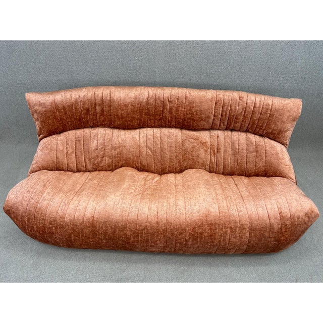 Textile Aralia 3-Seater Sofa and Chair from Ligne Roset, Set of 2 For Sale - Image 7 of 18